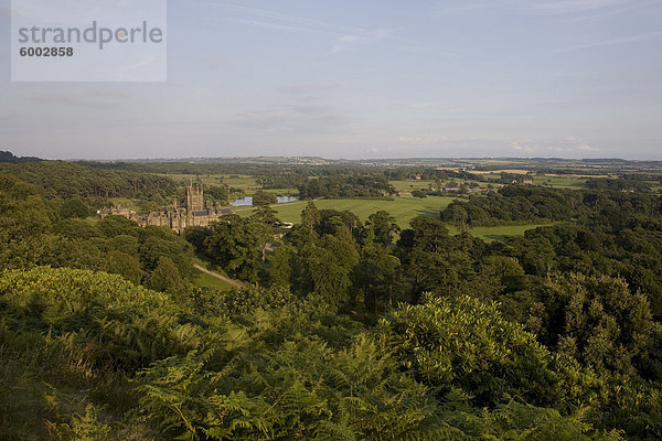 Schloss im Wald gesehen von Capel Mair  Margam Country Park  Port Talbot  West Glamorgan  Wales  Vereinigtes Königreich  Europa