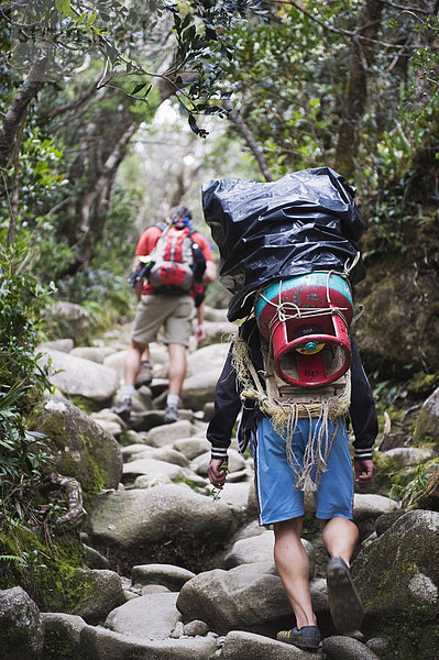 Porter und Wanderer auf Trail  Kinabalu National Park  Sabah  Borneo  Malaysia  Südostasien  Asien