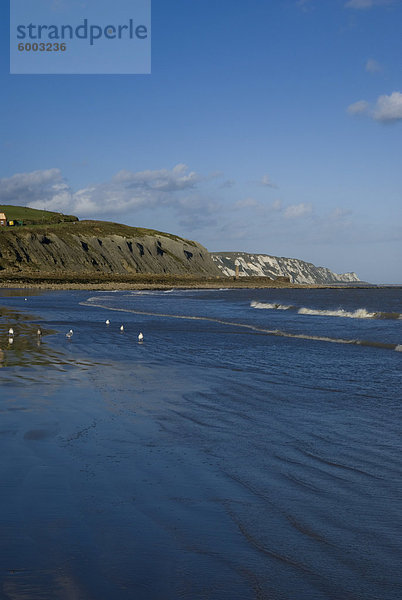 Strand von Folkestone  Kent  England  Vereinigtes Königreich  Europa