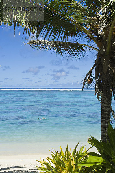 Rarotonga  Cook-Inseln  Süd-Pazifik  Pazifik