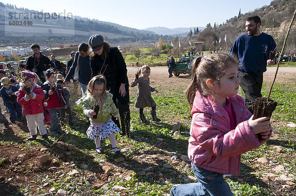 TU Beshvat jüdische Festival  Baumpflanzung  Veranstaltung  organisiert von der JNF ein Jerusalem Park  Jerusalem  Israel  Nahost