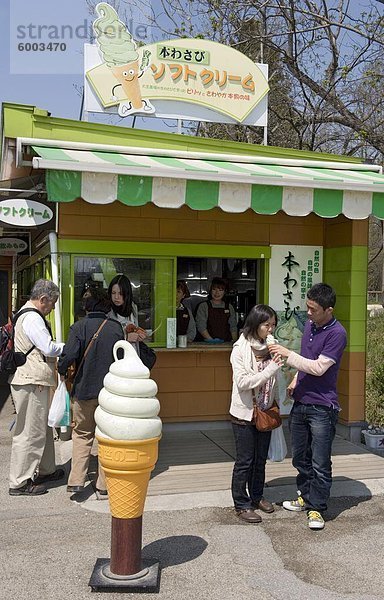 Besucher genießen Wasabi (japanischer Meerrettich) Eis auf dem Bauernhof Wasabi Daio Hotaka  Nagano  Japan  Asien