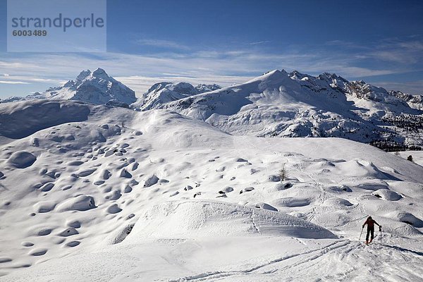 Skitouren Sie in den Dolomiten  Cortina d ' Ampezzo  Belluno  Italien  Europa