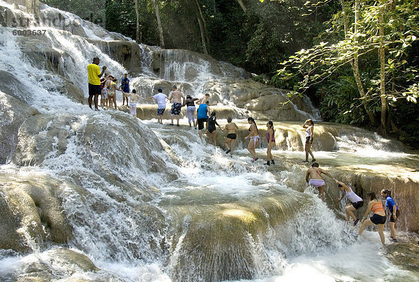 Terrassen Calcit Travertin bilden die Dunns River Falls  in der Nähe von Ocho Rios  auf der nördlichen Küste von Jamaika  Westindische Inseln  Karibik  Mittelamerika