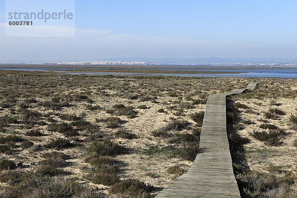 Eine Strandpromenade führt über Dünen von Ilha Deserta (Barreta)  eine Insel in der Ria Formosa-Nationalpark  Algarve  Portugal  Europa