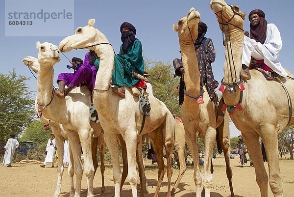 Gerewol  allgemeine Reunion von Westafrika für Wadabee Peuls (Bororo Peul)  Niger  Westafrika  Afrika