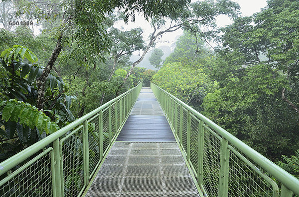 Baldachin Gehweg  Sepilok Rainforest Discovery Center  Sabah  Borneo  Malaysia  Südostasien  Asien