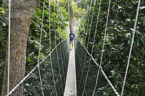 Baldachin walk  Taman Negara Nationalpark  Pahang  Malaysia  Südostasien  Asien