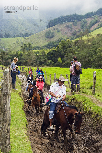 Reiten in Cocora-Tal  Salento  Kolumbien  Südamerika