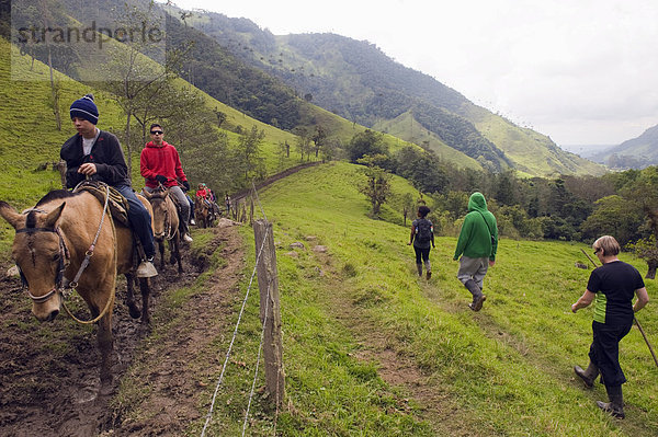 Reiten und Wandern in Cocora-Tal  Salento  Kolumbien  Südamerika