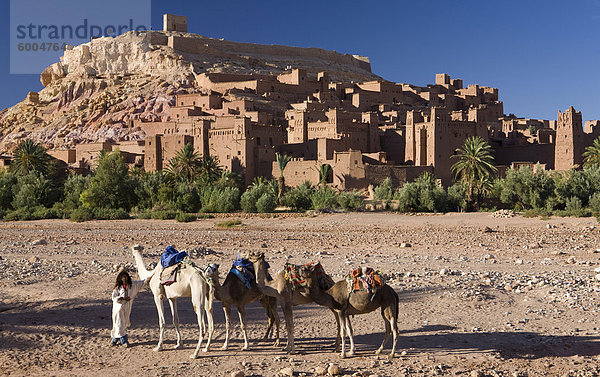 Kamele und Kamel-Treiber gegen den berühmten Kasbah von Ait Benhaddou  verwendet als Kulisse für viele Hollywood-Filme  Ait Benhaddou  UNESCO Weltkulturerbe  Ouarzazate  Marokko  Nordafrika  Afrika