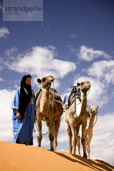 Daisies Mann im blauen Gewand mit drei Kamele auf dem Bergkamm des eine Sanddüne in der Erg Chebbi Sand-See in der Nähe von Merzouga  Marokko  Nordafrika  Afrika