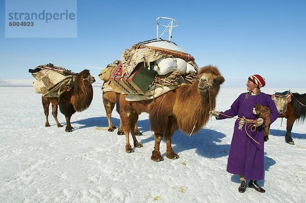 Nomadische Transhumanz mit baktrische Kamele im Schnee bedeckt Winterlandschaft  Provinz Chowd  Mongolei  Zentralasien  Asien