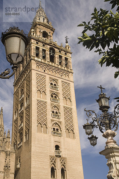 Giralda  Sevilla  Andalusien  Spanien  Europa