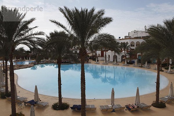 Nordafrika Monarchie Urlaub Schwimmbad Afrika Ägypten