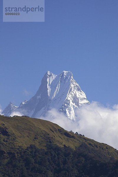 Blick auf den Fishtail Mountain (Machhapuchhare)  vom Trail zwischen Ghorepani und Tadapani  Annapurna Sanctuary-Region  Himalaya  Nepal  Asien