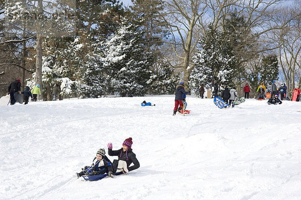 Kinder Rodeln im Central Park nach einem Schneesturm in New York City  New York State  Vereinigten Staaten von Amerika  Nordamerika