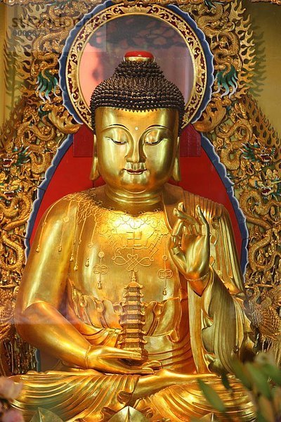 Shakyamuni Buddha-Statue in Main Hall  Po Lin Monastery  Tung Chung  Hong Kong  China  Asien
