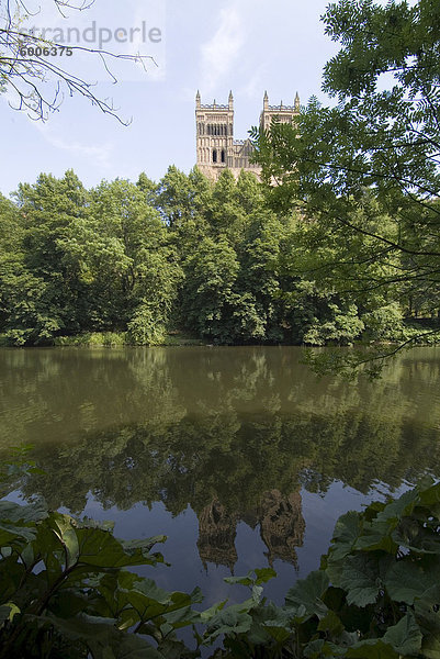 Kathedrale spiegelt sich in den Fluss Wear  UNESCO Weltkulturerbe  Durham  County Durham  England  Vereinigtes Königreich  Europa