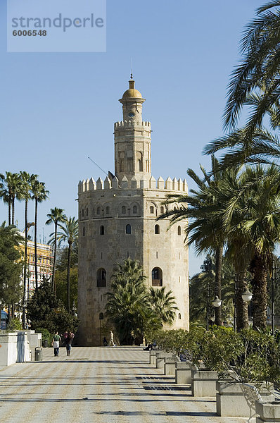 Torre del Oro  El Arenal District  Sevilla  Andalusien  Spanien  Europa