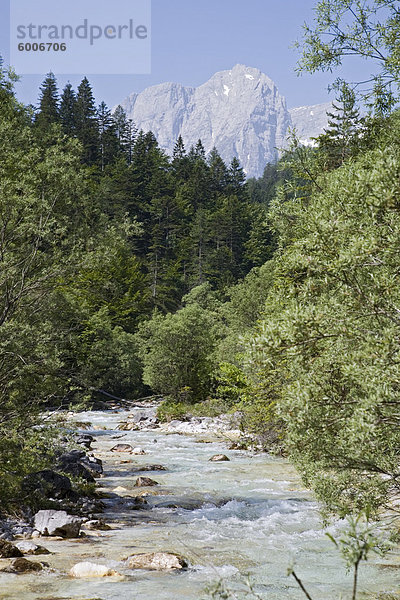Bistrica Fluss und Wald mit Stenar Berg darüber hinaus im Sommer Vrata-Tal  Nationalpark Triglav  Julische Alpen  Mojstrana  Dolina  Slowenien  Europa