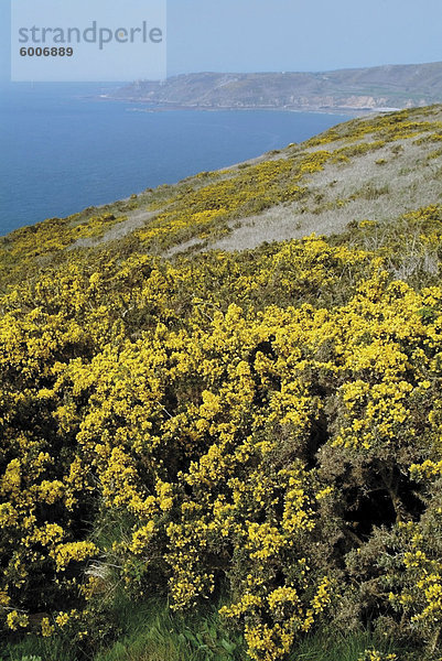 Frankreich Europa Manche Normandie