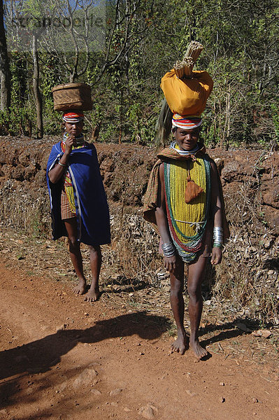 Bonda Tribeswomen in traditioneller Kleidung mit Perlen  Ohrringe und Halsketten  die ihres Stammes  mit Korb und Pinsel auf den Markt  Onukudelli  Orissa  Indien  Asien