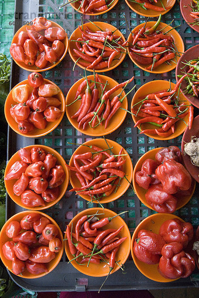 Bunte roten Chilischoten und Capsicums auf orange Platten auf einem Markt Abwürgen in Kuching  Sarawak  Malaysia Borneo  Malaysia  Südostasien  Asien