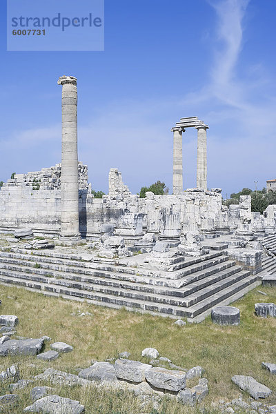 Tempel des Apollon  Didyma  Anatolien  Türkei  Kleinasien  Eurasien