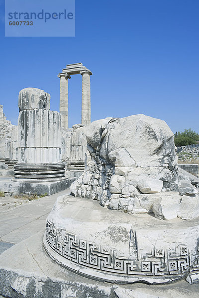 Tempel des Apollon  Didyma  Anatolien  Türkei  Kleinasien  Eurasien