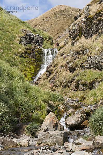 Wasserfall  Fortuna Bay  Südgeorgien  Süd-Atlantik