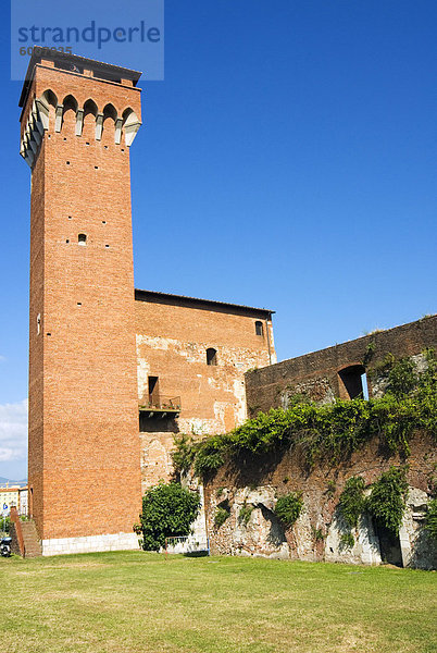 Der Turm der Zitadelle  Pisa  Toskana  Italien  Europa