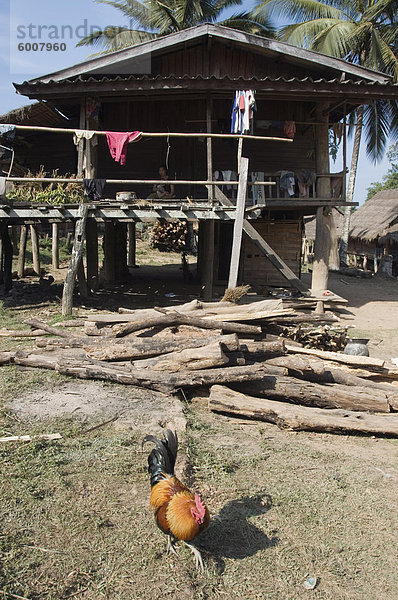 Dorf Zimmer Südostasien Vietnam Asien Laos