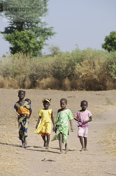 Kinder  aus Westafrika (Serere) Tribal Village  Senegal  Afrika
