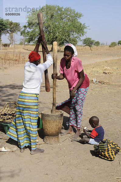 Stampfen Hirse  Serer (Serere) Tribal Village  Senegal  Westafrika  Afrika