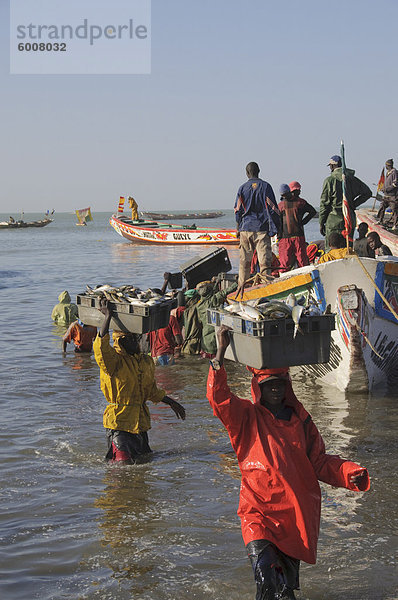 Entladen Fischerboote (Pirogen)  Mbour Fischmarkt  Mbour  Senegal  Westafrika  Afrika