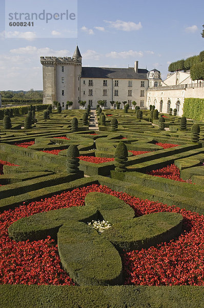 Teil der umfangreichen dekorativen Blumen- und Gemüsegärten  Chateau de Villandry  UNESCO Weltkulturerbe  Indre-et-Loire  Loire-Tal  Frankreich  Europa