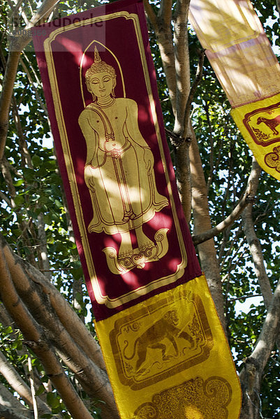 Buddhistische Flaggen im Tempel Bäume  Chiang Mai  Thailand  Südostasien  Asien