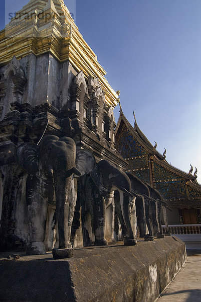 Elefanten-Tempel  Wat Chiang Man  Chiang Mai  Thailand  Südostasien  Asien