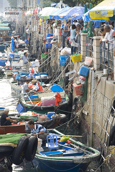 Fischerboote  New Territories  Sai Kung  Hong Kong  China  Asien