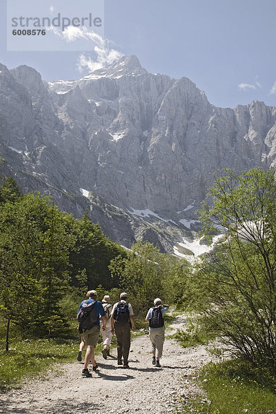 Reisegruppe im Sommer im Vrata-Tal in Richtung Berg Triglav  der höchste in Slowenien  Nationalpark Triglav  Julische Alpen  Mojstrana  Dolina  Slowenien  Europa