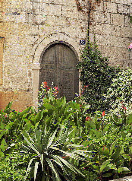 Alte Tür und exotischen Garten  Korcula  Dalmatien  Kroatien  Europa