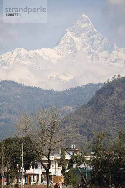 Machapuchhare Berg  Pokhara  Nepal  Asien