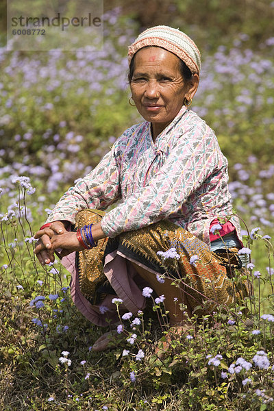 Frau im Bereich der Wildblumen  Royal Trek  Pokhara  Nepal  Asien