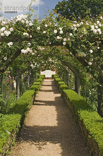 Bögen von Roses  Mottisfont Abbey Garden  Hampshire  England  Vereinigtes Königreich  Europa