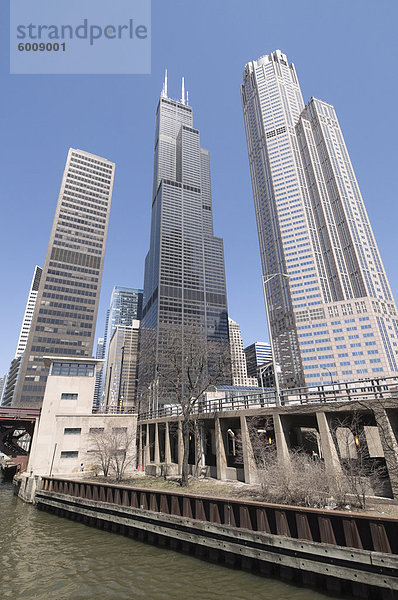 Sears Tower aus der Chicago River  Chicago  Illinois  Vereinigte Staaten von Amerika  Nordamerika