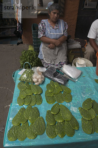 Handwerker-Markt  San Miguel de Allende (San Miguel)  Bundesstaat Guanajuato  Mexiko  Nordamerika