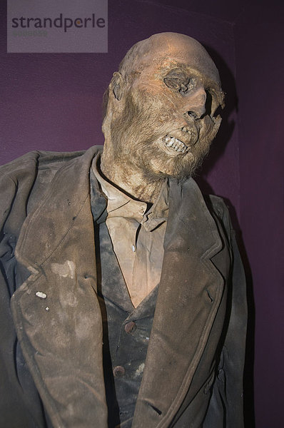 Die Mumie von Dr. Remigio Leroy  ein französischer Arzt  die erste Mumie platziert im Mummy Museum (Museo de Las Momias) in Guanajuato  ein Weltkulturerbe  Guanajuato  Bundesstaat Guanajuato  Mexiko  Nordamerika