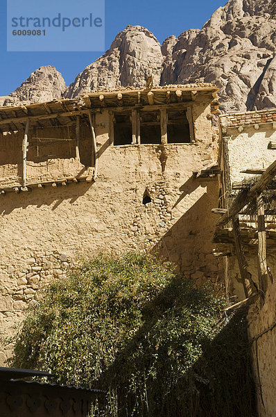 Dem brennenden Dornbusch  Kloster St. Catherine  UNESCO Weltkulturerbe  Sinai  Ägypten  Nordafrika  Afrika