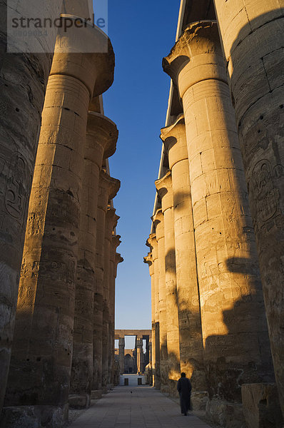 Luxor-Tempel  Luxor  Theben  UNESCO World Heritage Site  Ägypten  Nordafrika  Afrika